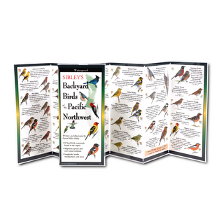 Sibley's Backyard Birds of the Pacific Northwest image 1