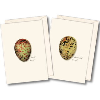 Bird egg notecard assortment inspired by natural variety