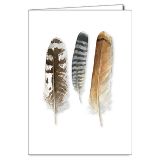 Birds of prey feathers greeting card inspired by raptors and flight adaptations