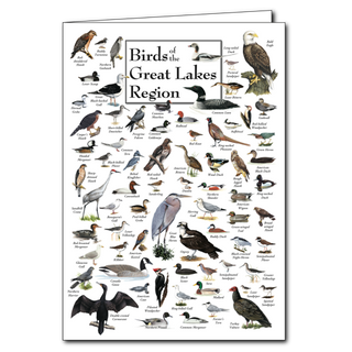 Great Lakes region birds greeting card highlighting local species, blank inside and eco-friendly