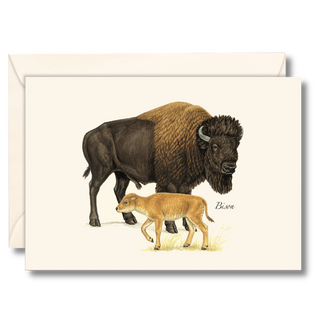 Bison notecard inspired by North American plains