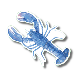 Blue lobster stickers highlighting a rare marine crustacean species