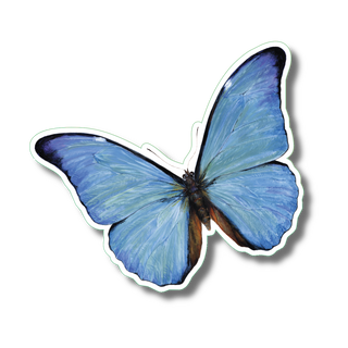 Blue morpho stickers with vibrant color showing a tropical butterfly species