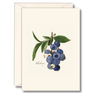 Blueberry notecard inspired by a beloved native fruit