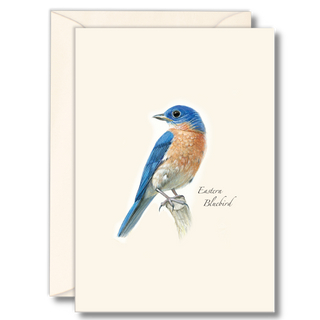 Bluebird notecard celebrating a beloved songbird, illustrated with care