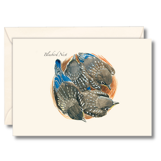 Bluebird nest notecard highlighting nesting behavior, printed on recyclable paper