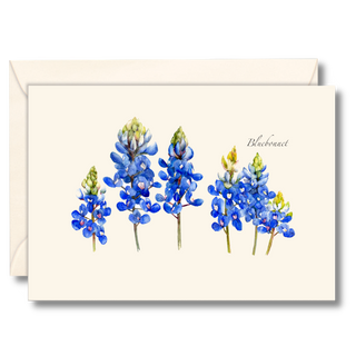 Bluebonnet notecard highlighting the Texas state flower, illustrated by expert naturalists