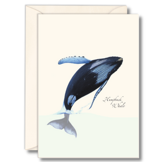 Breaching humpback notecard capturing a dramatic ocean moment, made in the USA