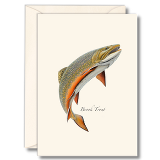 Brook trout notecard celebrating freshwater streams, illustrated by expert naturalists