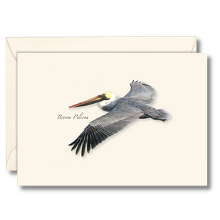 Brown pelican notecard capturing a coastal bird in flight