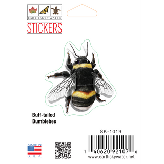 Buff-tailed bumblebee stickers made in the USA for pollinator species reference