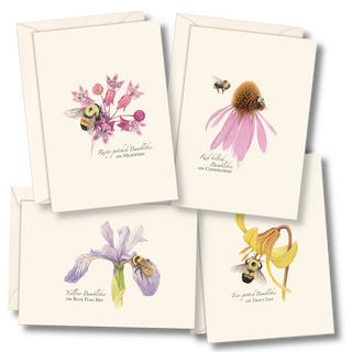 Bumblebee assortment notecards celebrating native pollinators, packaged in a recyclable box