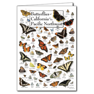 California and Pacific Northwest butterflies greeting card