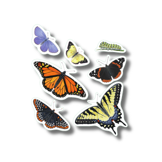 Butterflies stickers made in the USA, featuring multiple butterfly species