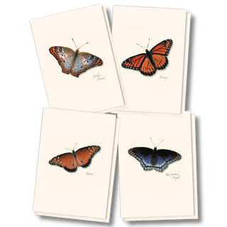 Butterfly notecard assortment inspired by native pollinators