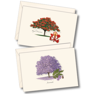 Jacaranda & Royal Poinciana Assortment image 0