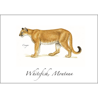 Cougar image 0