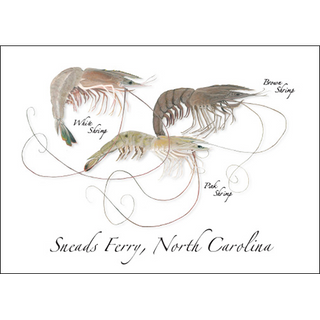 Three Shrimp image 0