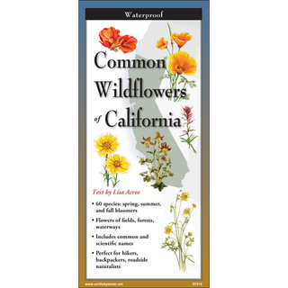 Common Wildflowers of California image 0