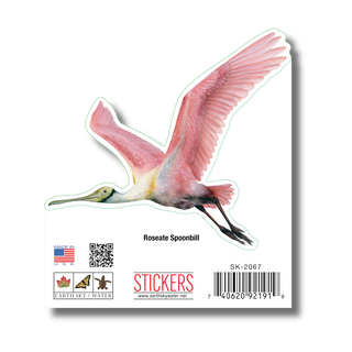 Roseate Spoonbill II image 1
