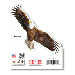 Bald Eagle image 1