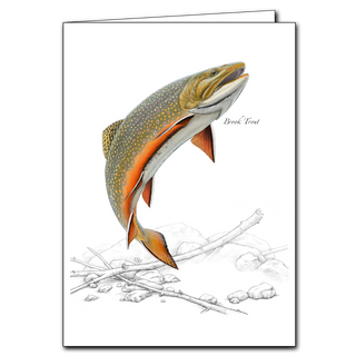 Brook Trout image 0