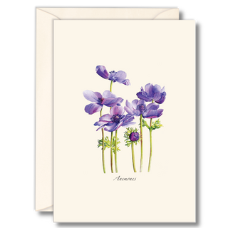 Anemones image 0