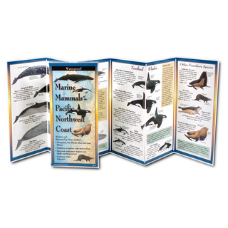 Marine Mammals of the Pacific Northwest Coast image 1