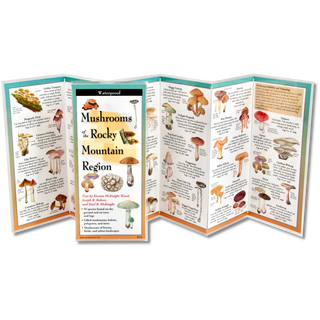 Common Mushrooms of the Rocky Mountain Region image 1