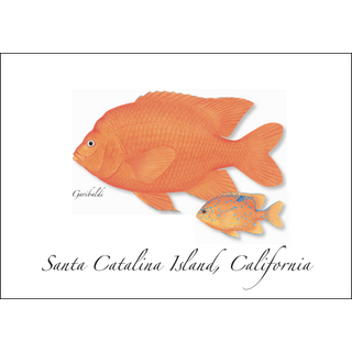 Garibaldi image 0