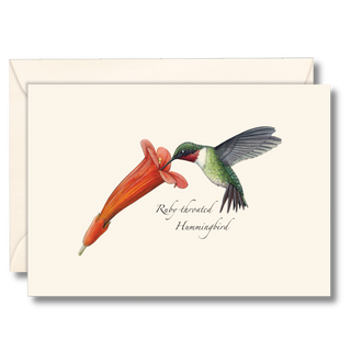 Ruby-throated Hummingbird &amp; Flower image 0
