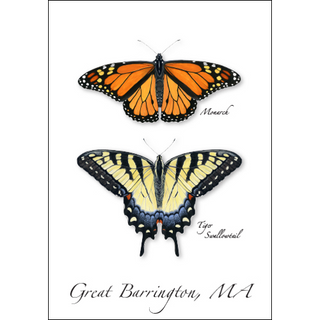 Monarch & Swallowtail image 0