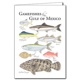 Gamefishes of the Gulf of Mexico - Regional Card image 0