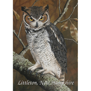 Great Horned Owl image 0