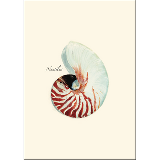 Nautilus image 1
