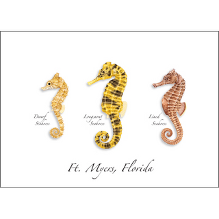Seahorse Trio image 0