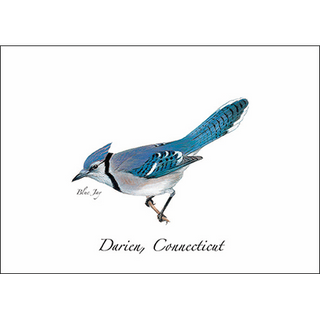 Blue Jay image 0