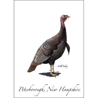 Wild Turkey image 0