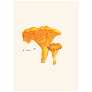 Edible Mushroom Assortment image 1