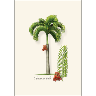 Christmas Palm image 1