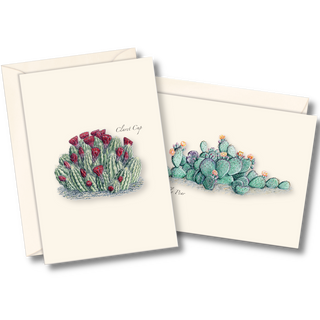 Cacti notecard assortment inspired by desert plant life