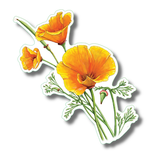 California poppy stickers made in the USA featuring a native flowering plant