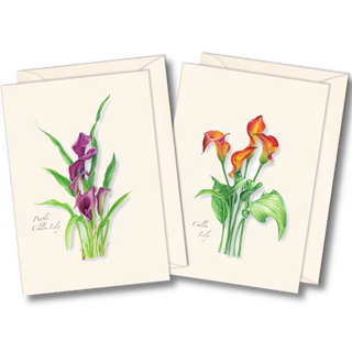 Calla lily assortment notecards with elegant floral designs, printed on recycled paper