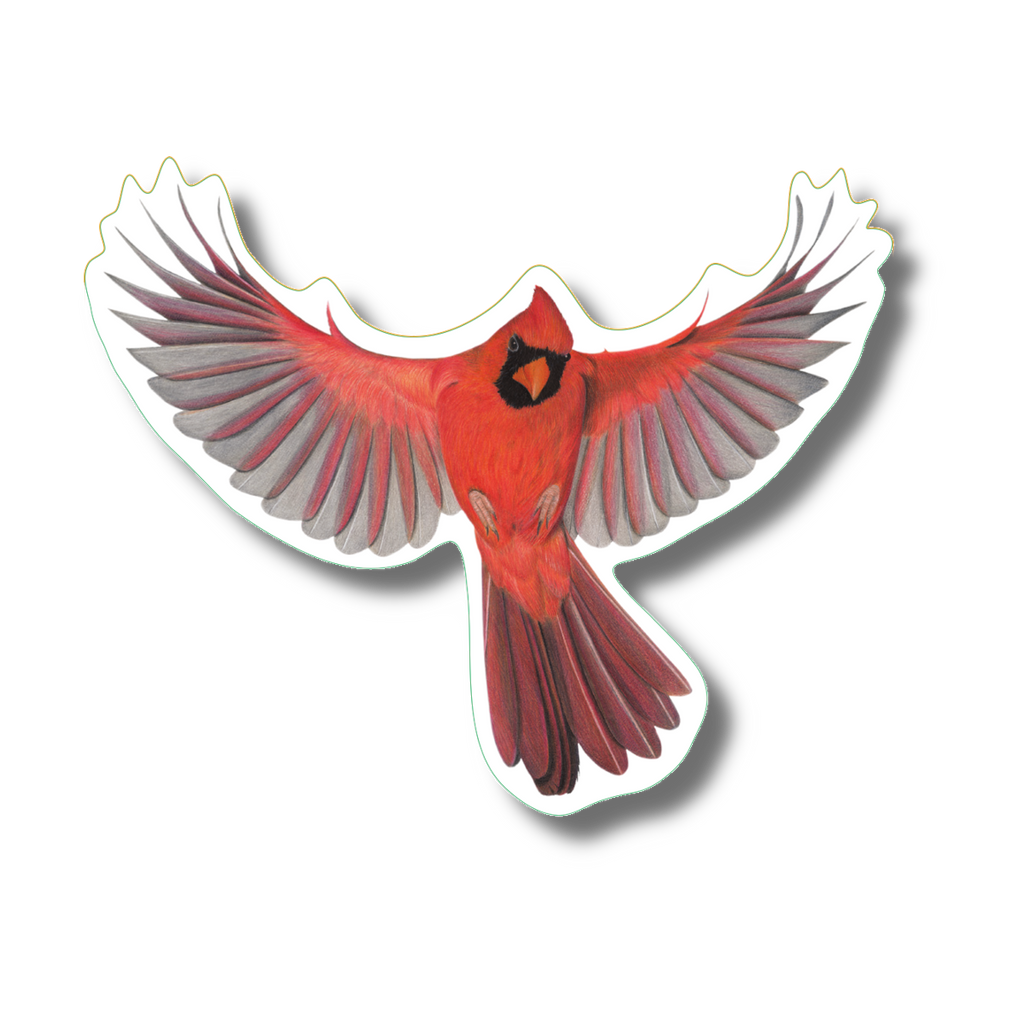 Stickers - Cardinal in Flight – Earth Sky + Water