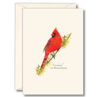Cardinal on witch hazel notecard created by expert illustrators, printed on recycled paper and boxed sustainably