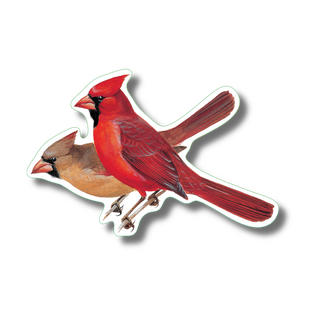 Cardinal pair stickers with vibrant color for backyard bird species reference