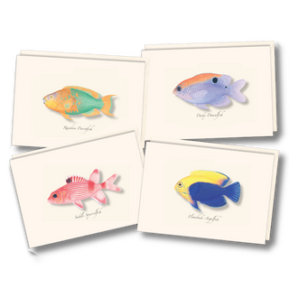 Caribbean fish assortment notecards celebrating tropical reef life, packaged sustainably