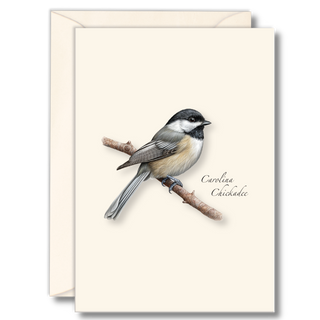Carolina chickadee notecard featuring a familiar southern songbird, illustrated by experts