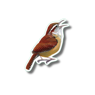 Carolina wren stickers made in the USA featuring a southeastern bird species