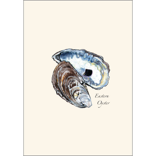 Eastern Oyster image 1